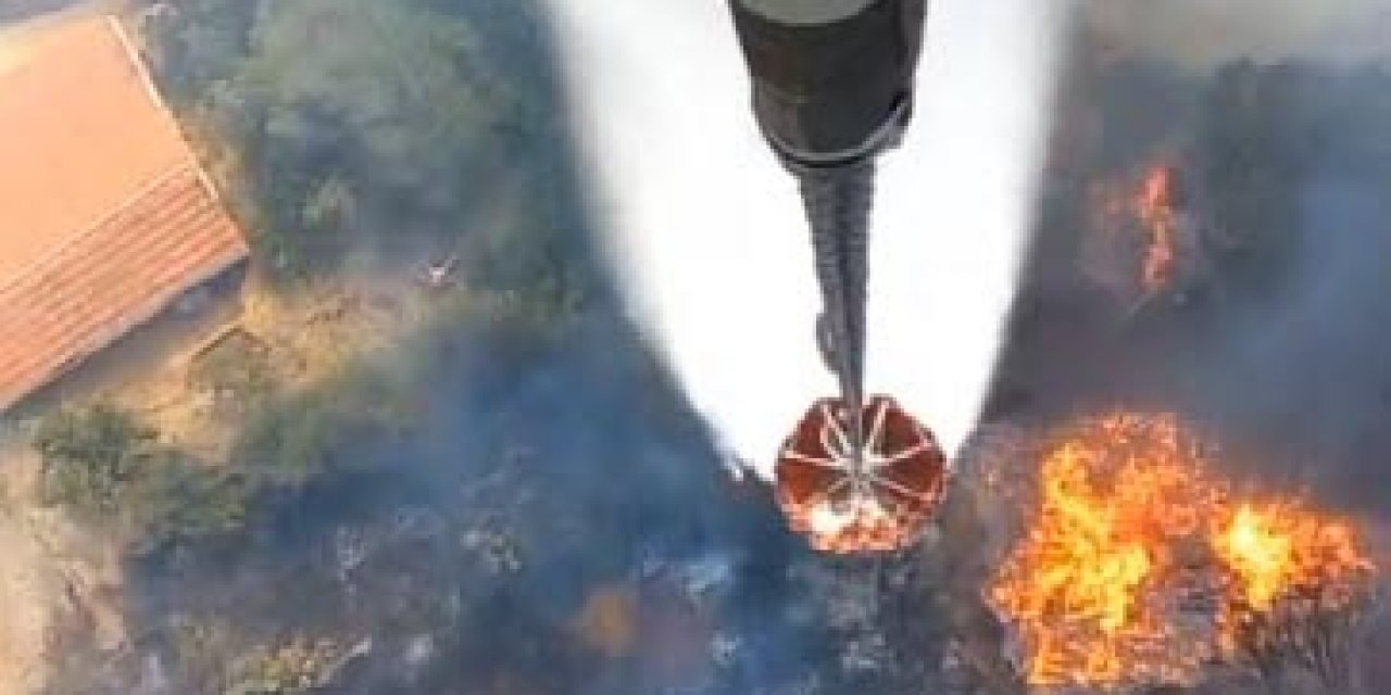 İzmir'de Çam Fıstığı Ağaçları İle Kaplı Tarım Arazisinde Yangın (Ek Görüntü Eklendi)