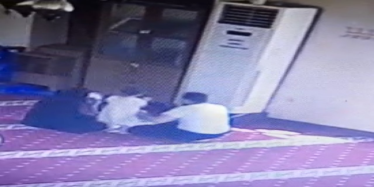 Feribot Beklerken Camide Kullandığı Elektriğin Parasını Bıraktı