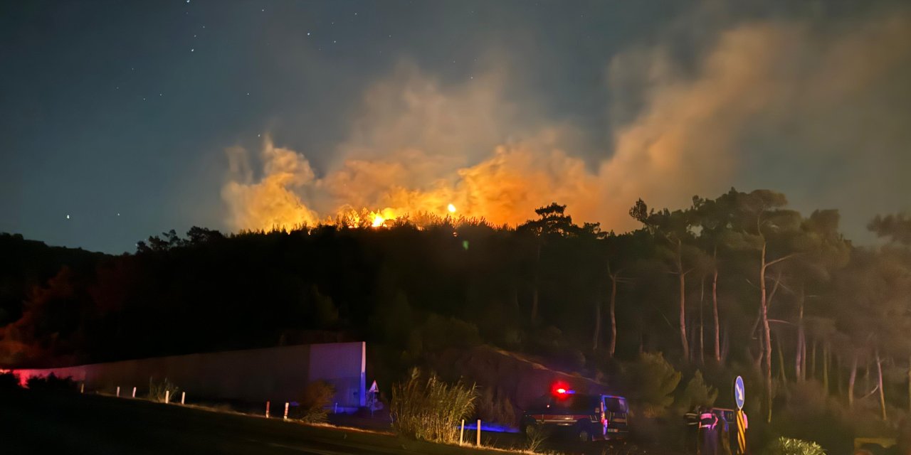 İzmir'de Orman Yangını; Kısa Sürede Söndürüldü