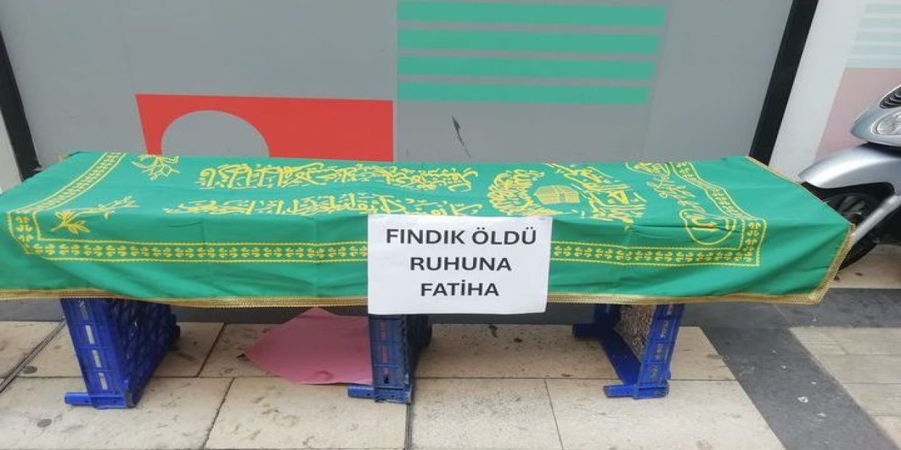 Tabutun üzerine 'Fındık öldü ruhuna Fatiha' yazıp, sosyal medyada canlı yayın yaptı