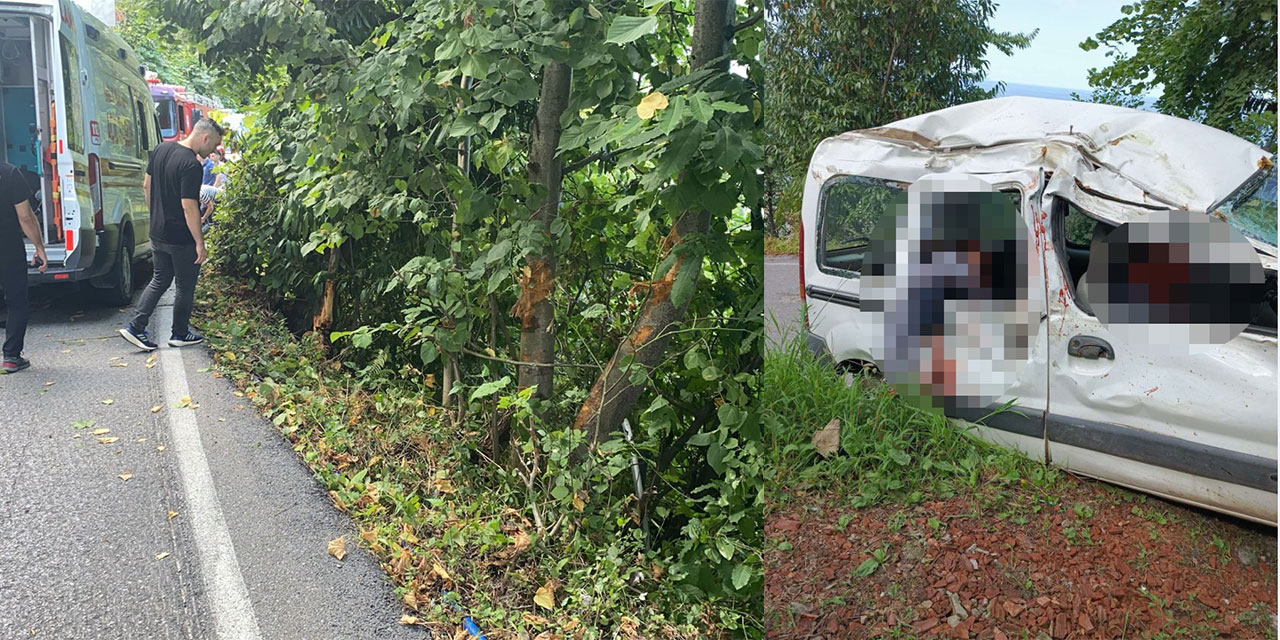 Sürmene'de hafif ticari araç ağaçlara çarptı; 3 yaralı