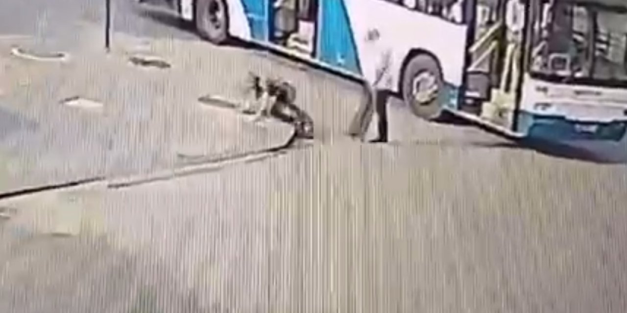 Yolcuyu Otobüsten Atan Şoför: 20 Yıl Yattım, 20 Yıl Da Senin İçin Yatarım; Olay Kamerada