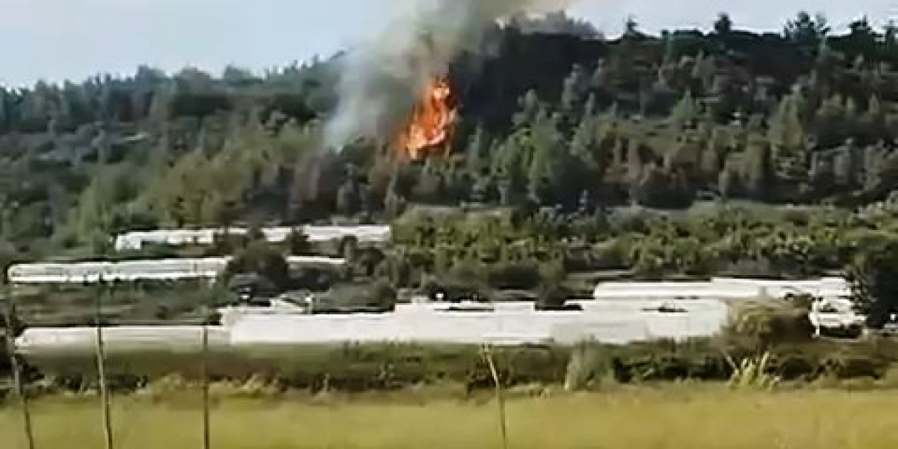 21 Bin Tl Ceza Kesilen Alkollü Ve Ehliyetsiz Sürücüden Arkadaşlarına: Beraber İçtik, Cezayı Da Beraber Öderiz