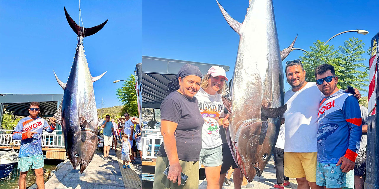 Balıkçılar, oltayla 317 kilogramlık orkinos yakaladı