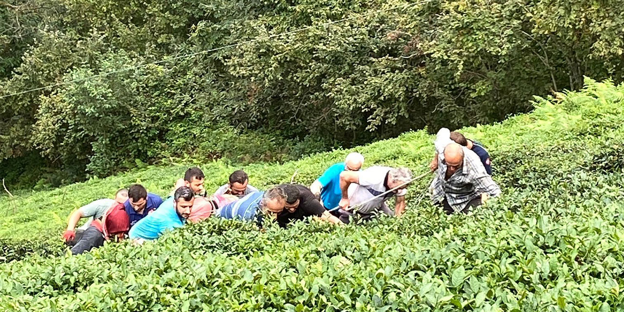 Rize'de çay toplarken uçuruma yuvarlanan kadın yaralandı