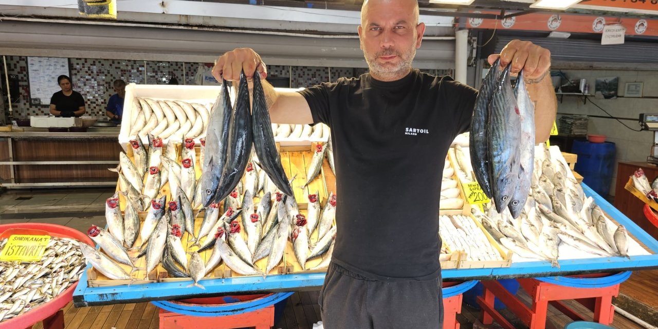 Av Yasağı Bitti Tezgahlar Palamutla Doldu