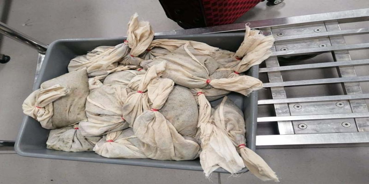 İstanbul - İstanbul Havalimanı’nda 20 Bin Adet Sülük Ele Geçirildi