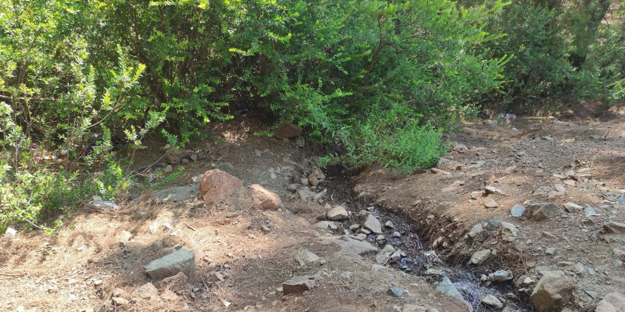 Fethiye'de Ormanda Terk Edilmiş Bebek Bulundu