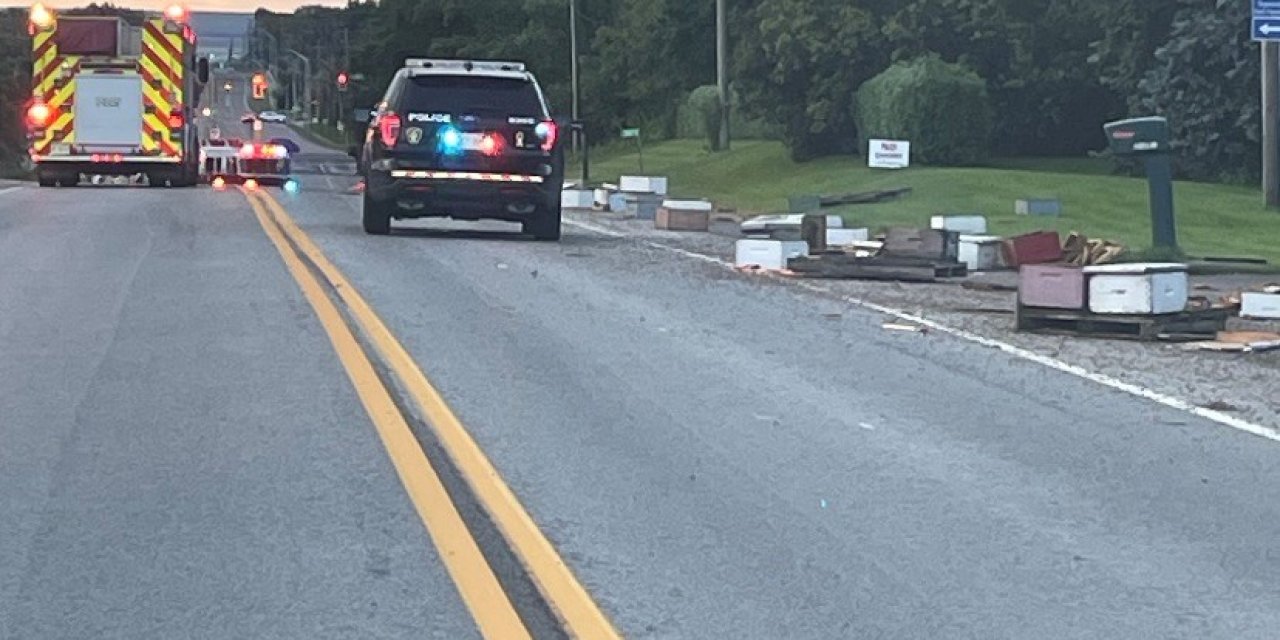 Kanada’da 5 Milyon Arıyı Taşıyan Kamyon Kaza Yaptı, Arıcılar Desteğe Geldi