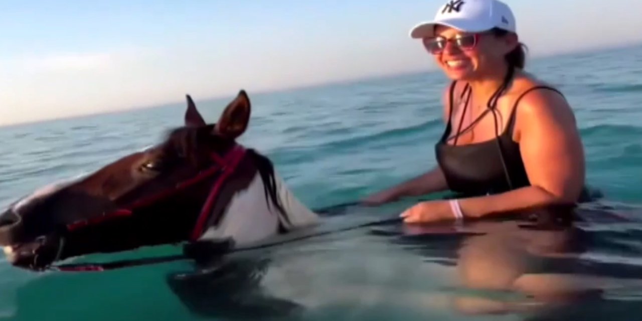 'Denizde At Turu, Hayvana Eziyet'