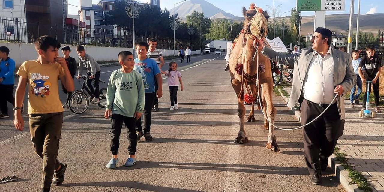 Antalya'dan Ağrı'ya Kurbanlık Gönderilen Deveye İlgi