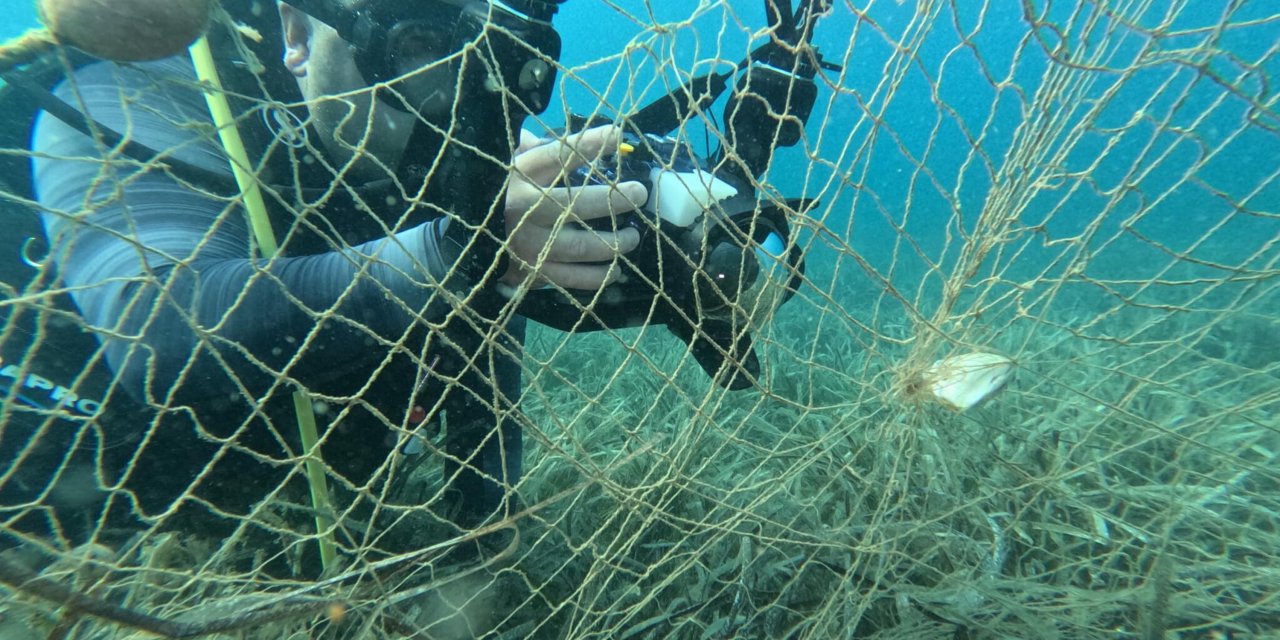 Hayalet Ağların Deniz Ekosistemine Verdiği Zarar, Su Altı Kamerasıyla Görüntülendi