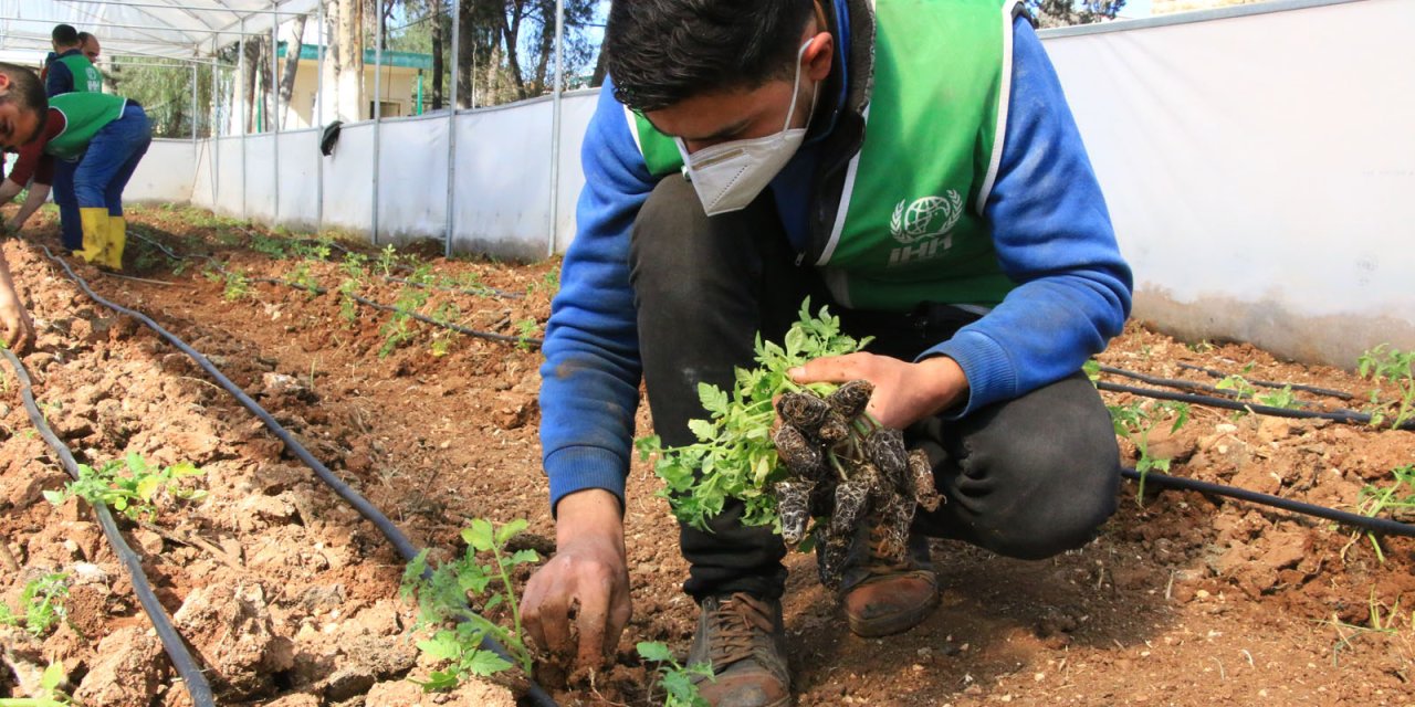 İhh Öşür Çalışmaları İle On Binlerce İhtiyaç Sahibine Ulaştı