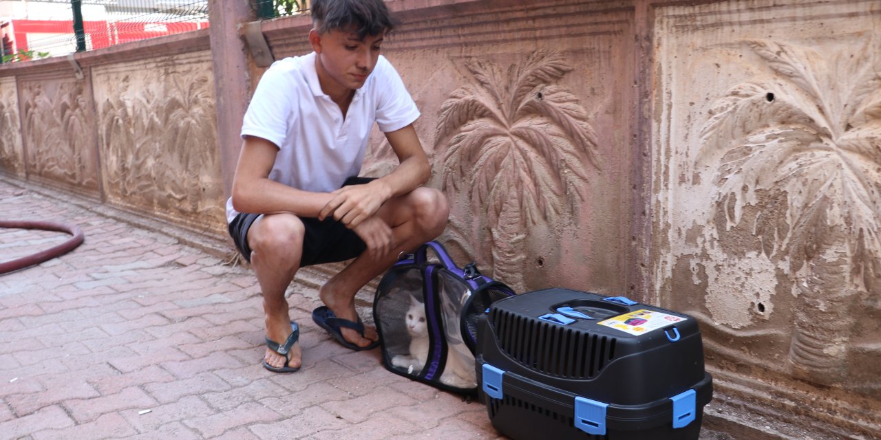 Yangından Kurtuldu, Aklı Kedilerinde Kaldı