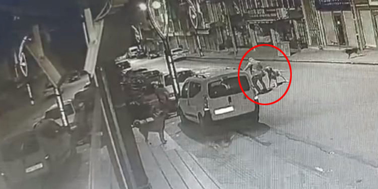 Ordu'da başıboş köpek saldırısı kamerada