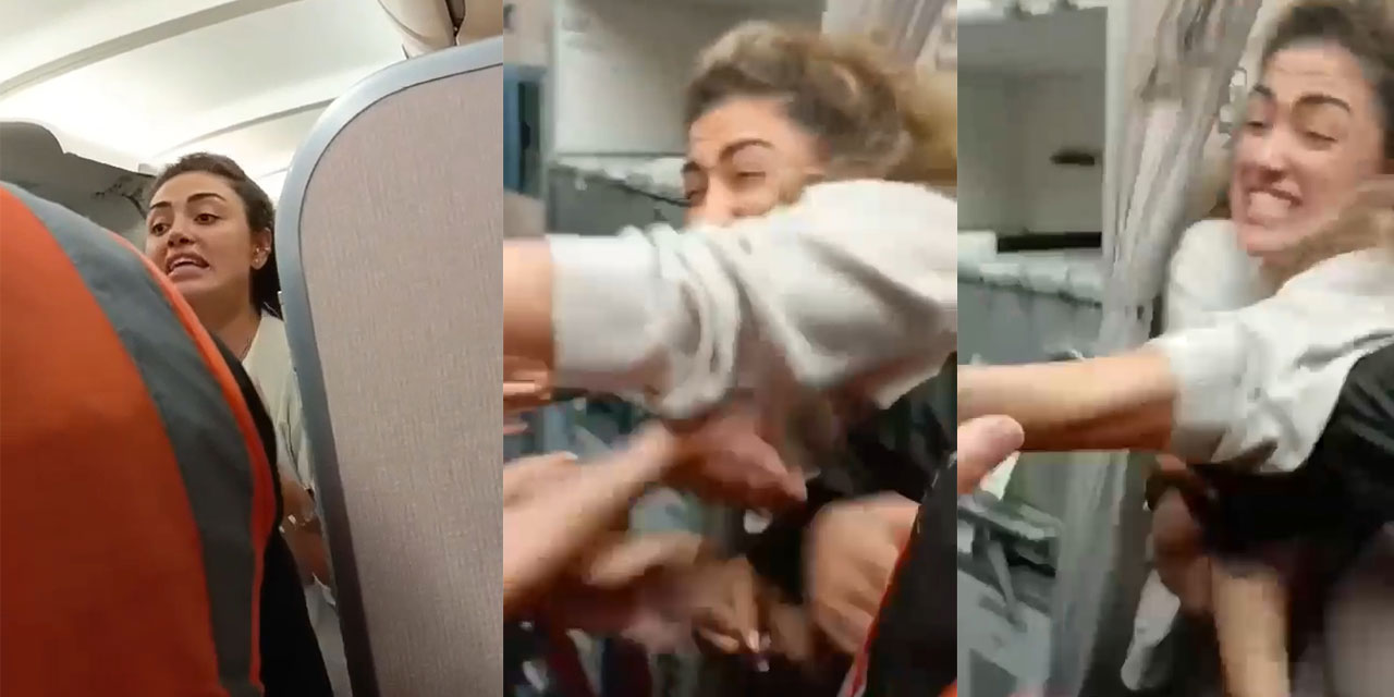 THY'nin Bodrum-İstanbul uçağında kedi kavgası