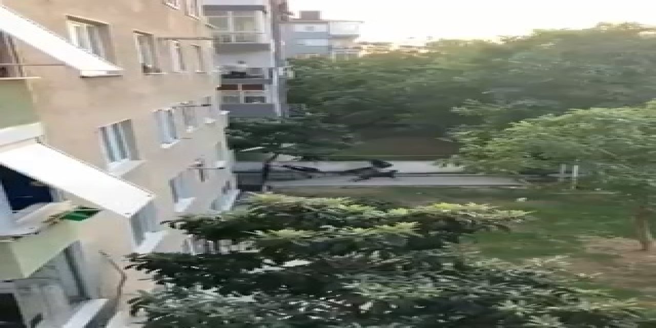 Maltepe'de, Doberman Cinsi Köpeğin Gence Saldırdığı Anlar Kamerada