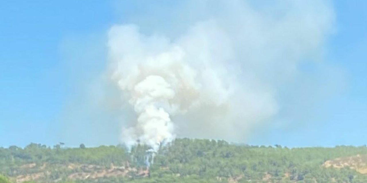 Muğla'da 1 Hektar Orman Yandı