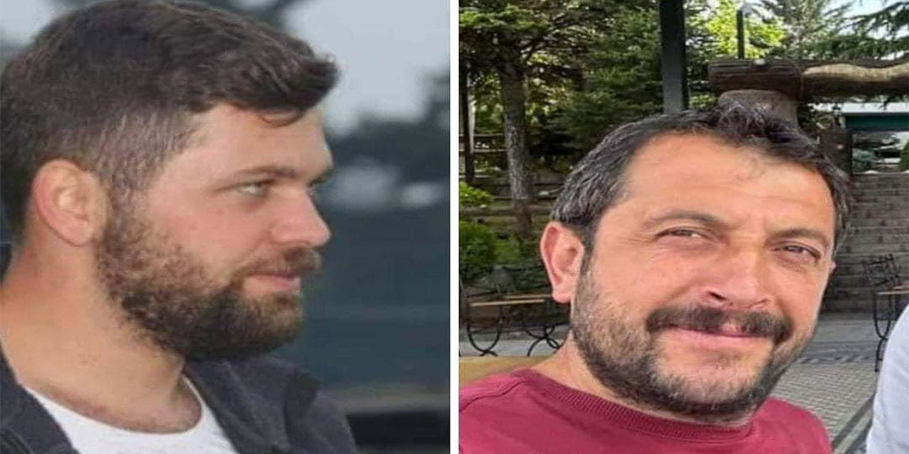 Artvin'de iş makinesi taşıyan kamyonun uçuruma devrildiği kazada 2 kişi öldü