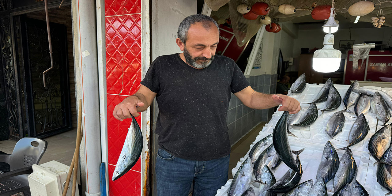 Tezgahlardaki fiyatları artan palamut tekrardan düşüşe geçti