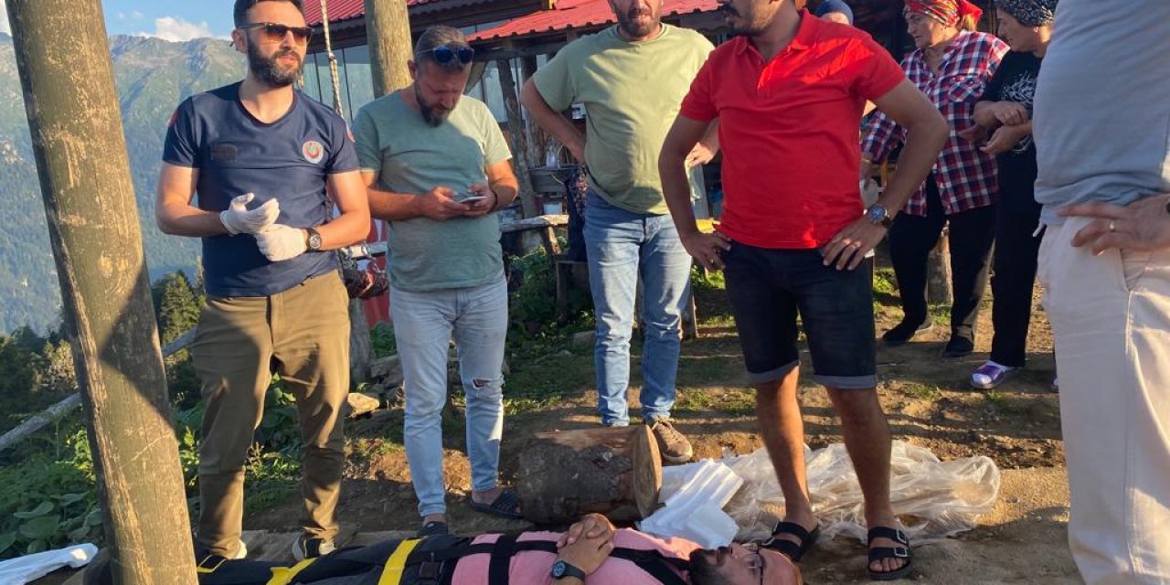 Salıncakla İneğe Çarpan Turizmci Yaralandı