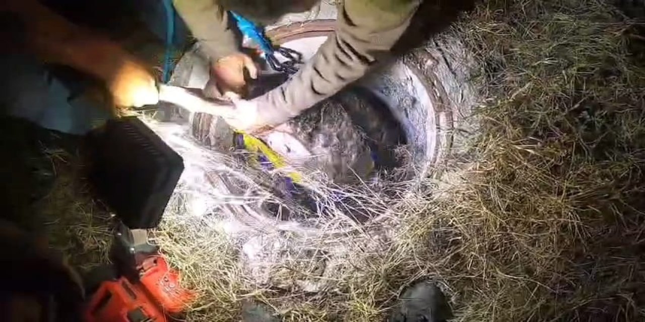 Rögara Düşen 2 Koyunu İtfaiye Kurtardı; O Anlar Kamerada