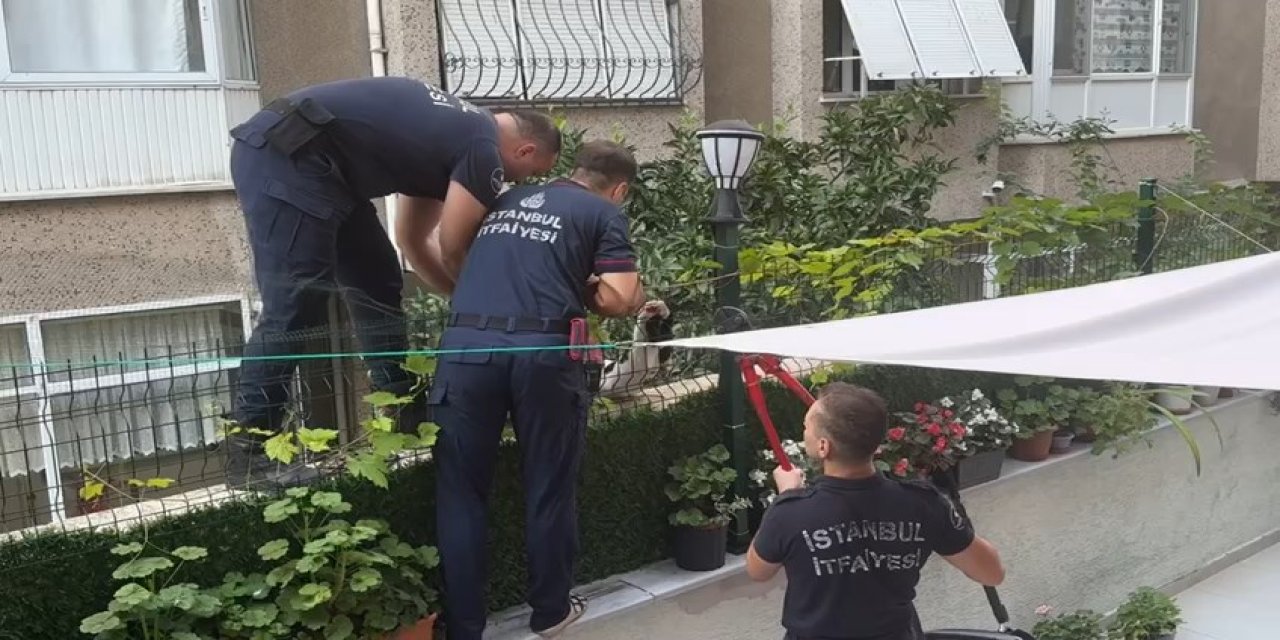 İstanbul - Avcılar'da Yaralı Kediyi İtfaiye Kurtardı
