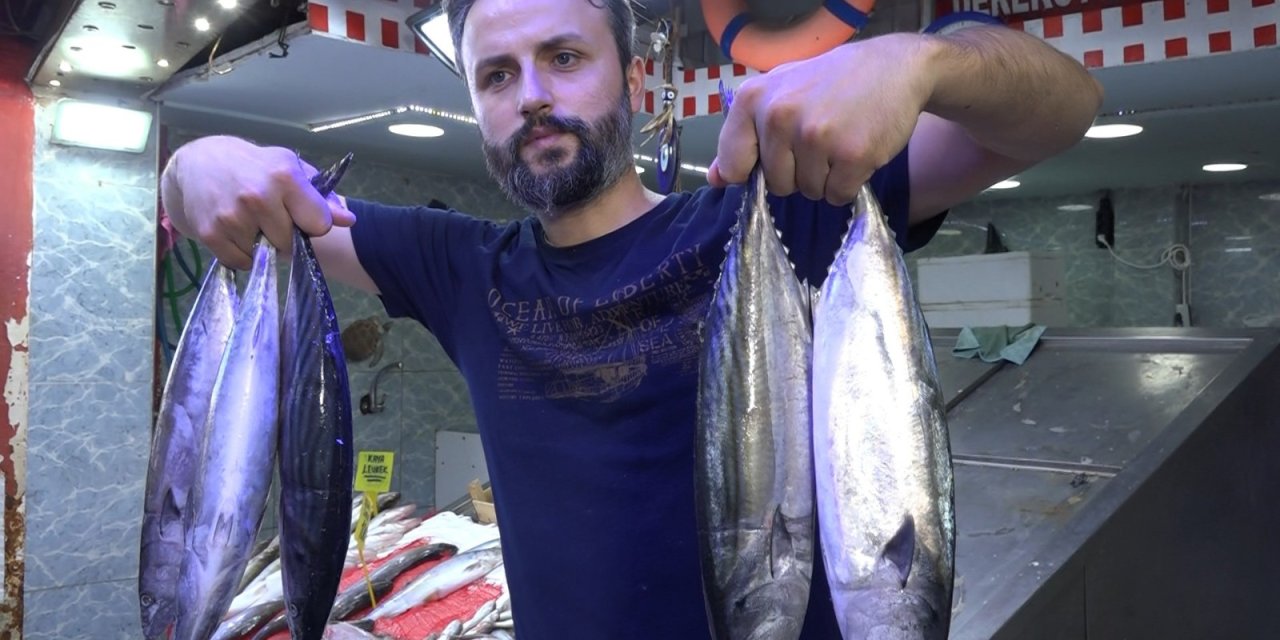 Trabzon’da Palamut İrileşti, Fiyat Arttı (2)