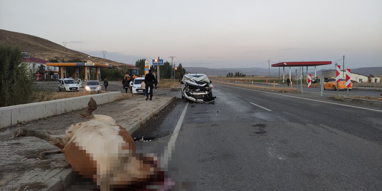 Hafif Ticari Aracın Çarptığı İnek Öldü, 1 Kişi Yaralandı