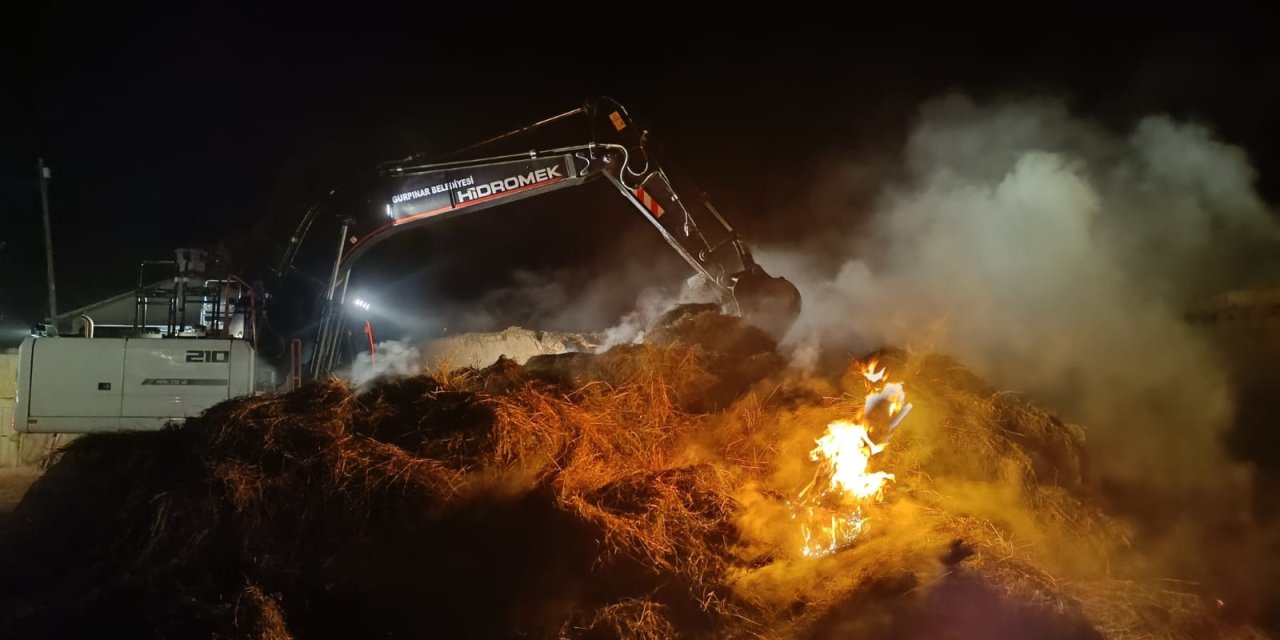 Van'da 4 Bin Bağ Ot Yandı