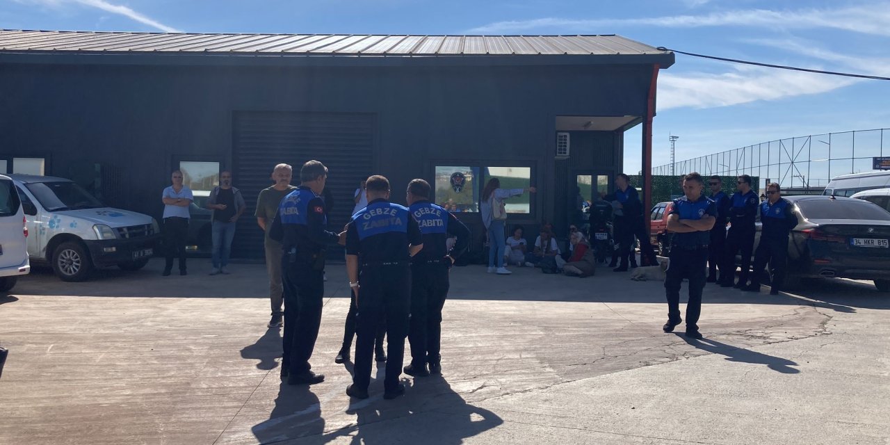 Rehabilitasyon Merkezinde 45 Hayvanın İğneyle Öldürüldüğü İddiası