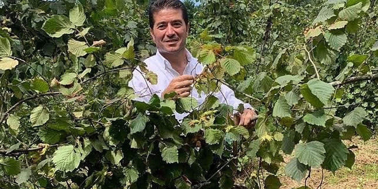 Ortahisar Belediyesi’nden kahverengi kokarca böceğiyle mücadeleye destek