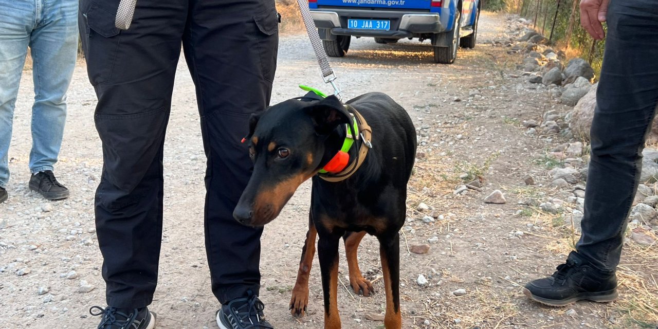 Korhan Berzeg'in 74 Gün Sonra Evine Dönen Köpeği Tina, Angela Berzeg İle Buluştu (2)
