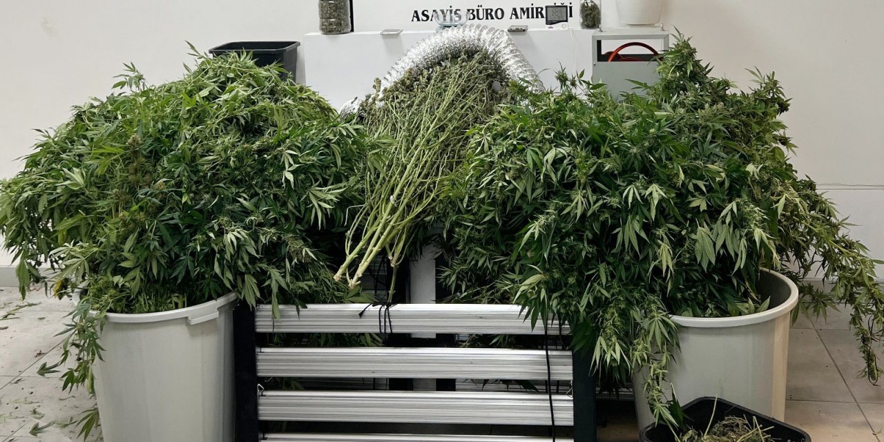 İstanbul - Beylikdüzü’nde Uyuşturucu Serasına Dönüştürülen Eve Operasyon: 3 Kişi Tutuklandı