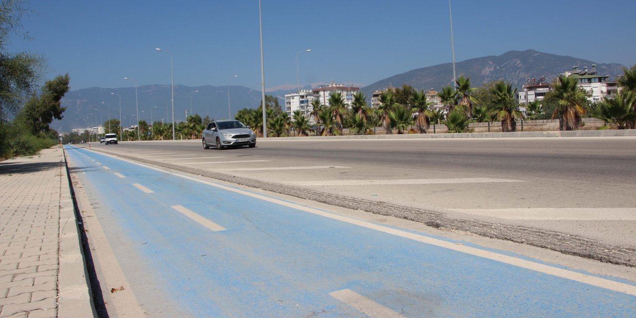 Yanlış Işığı Takip Edip, Kara Yoluna Çıkan Yavru Deniz Kaplumbağaları Ezildi