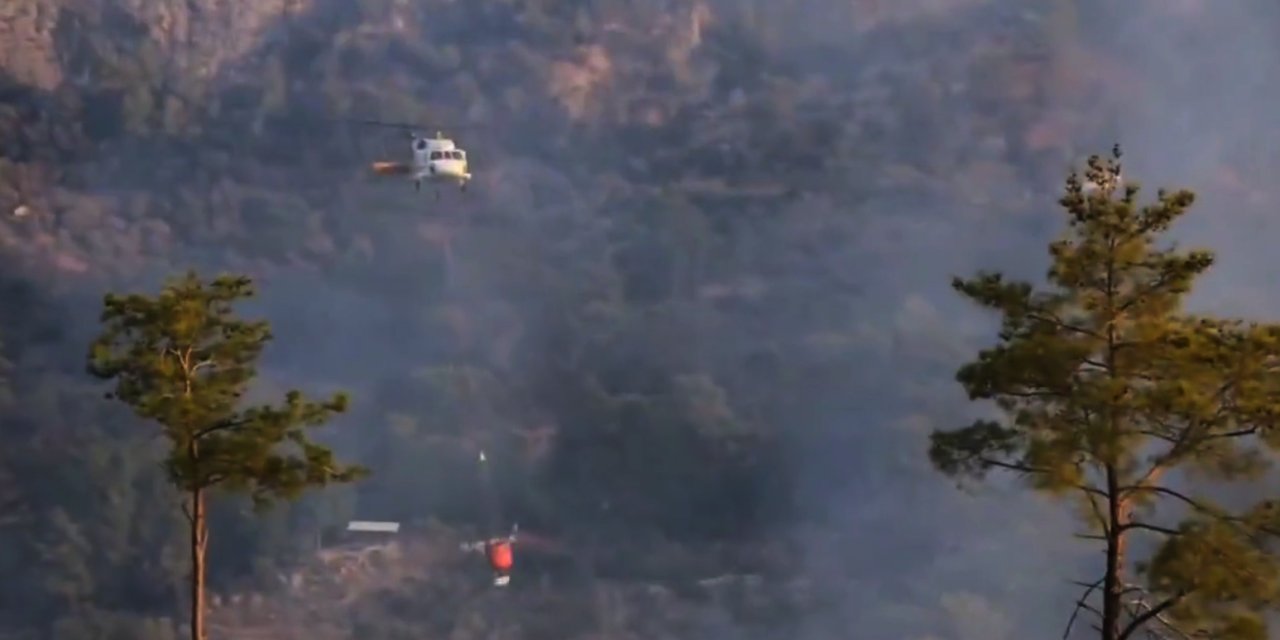 Muğla’da Orman Yangınları; Milas’ta Alevler Kontrol Altında, 2 İlçede Müdahale Sürüyor (2)
