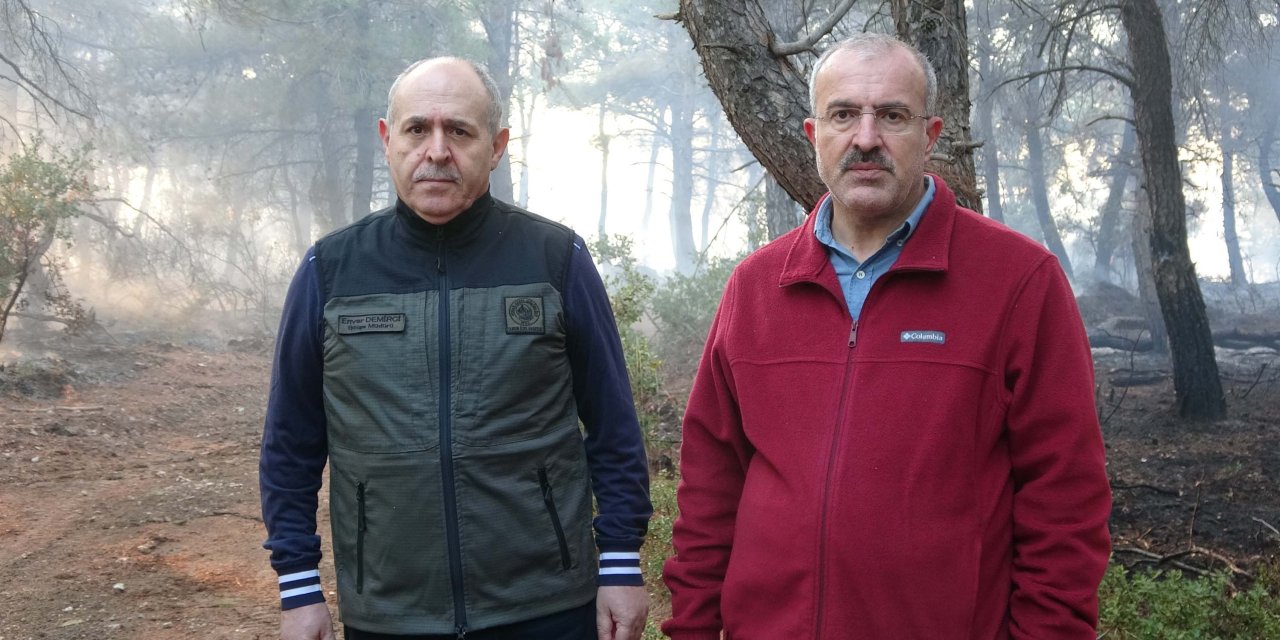 Çanakkale’de Orman Yangını (2)