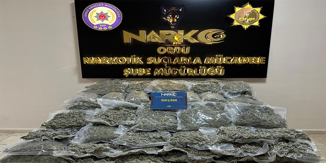 Ordu'da tırda 68 kilo 500 gram skunk ele geçirildi