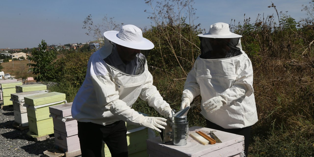 Büyükçekmece’de İlk Bal Hasadı Gerçekleşti