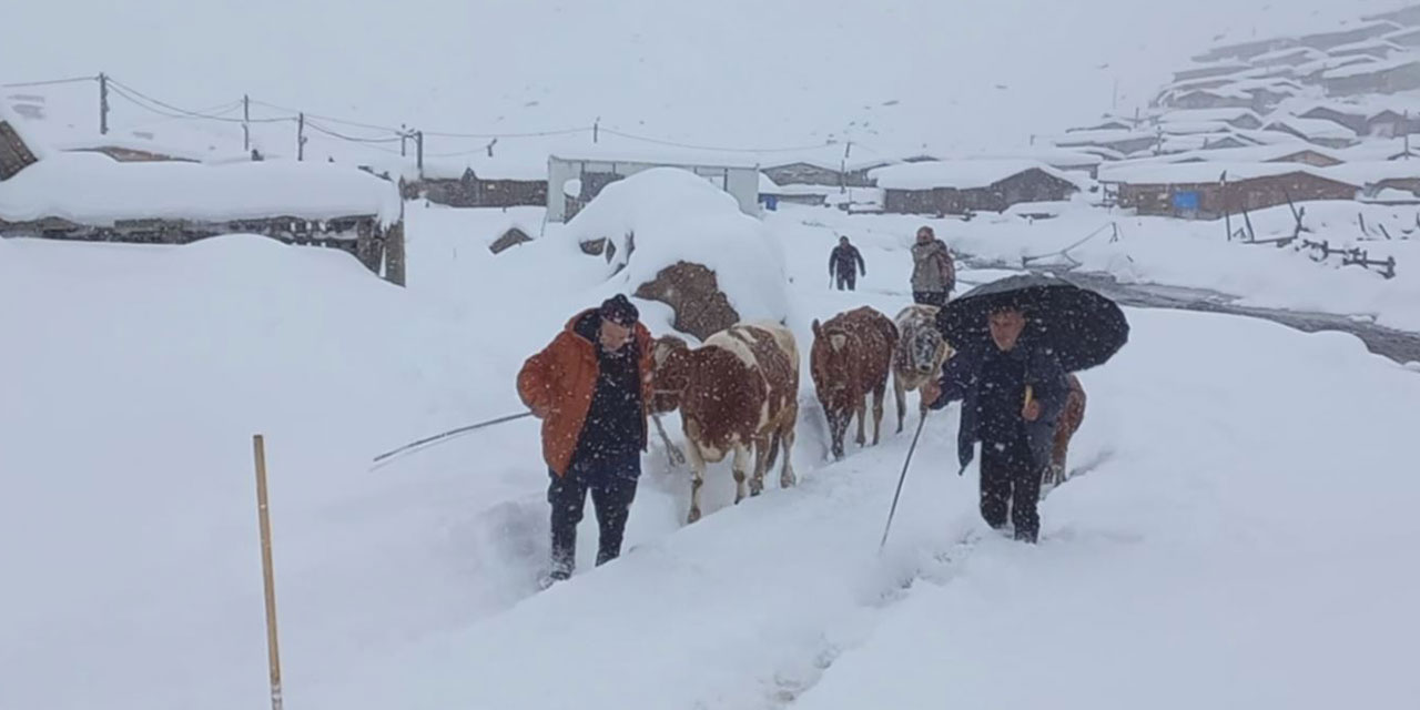 Rize'de yaylalarda beyaz güzellik; geri dönüş hızlandı
