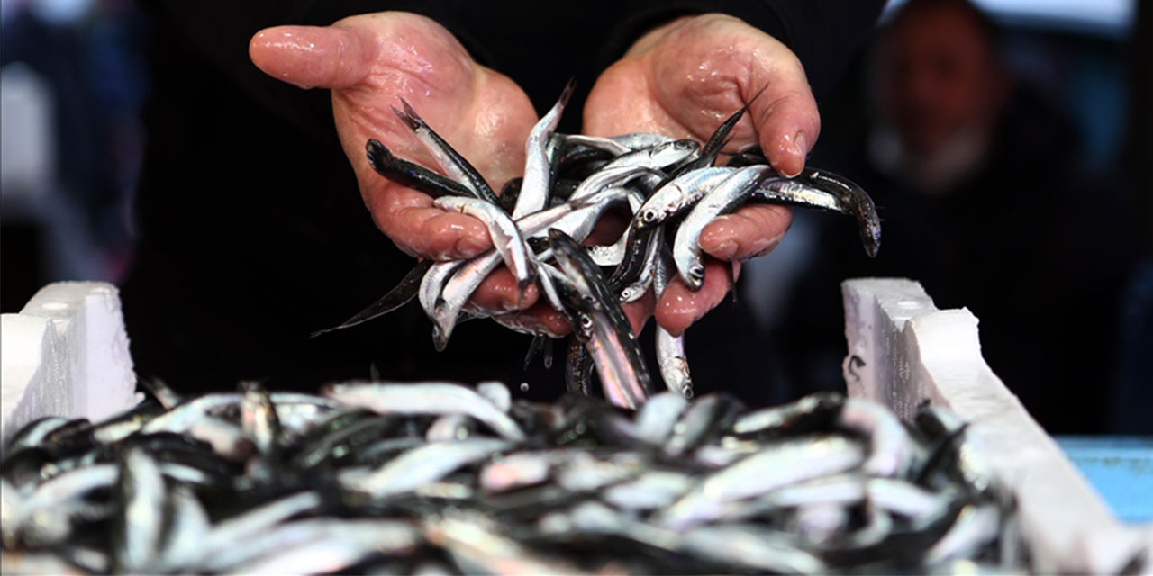 Hamsi yılın 9 ayında 20 ülkede alıcı buldu