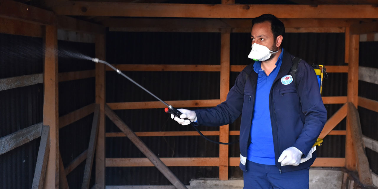 Büyükşehir Kararlı, Kokarcaya Geçit Yok