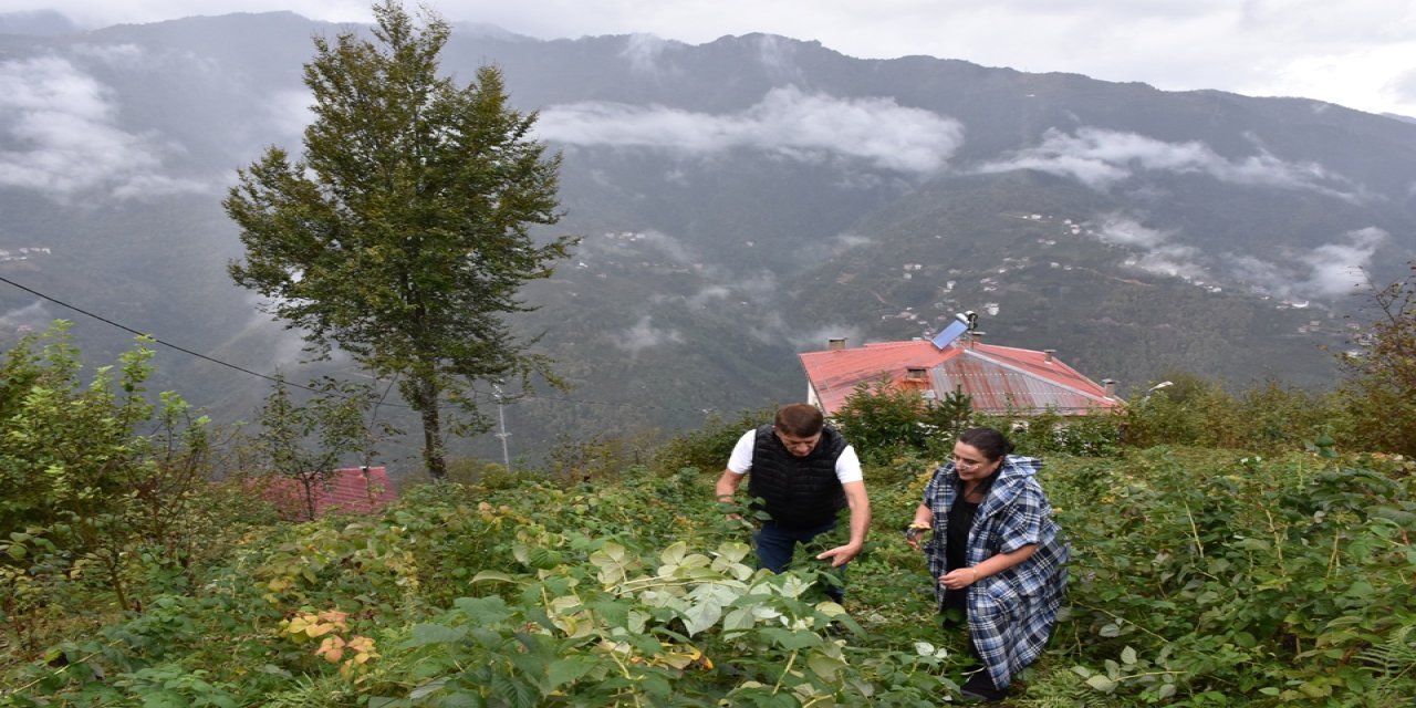 Tarım eğitimlerine katılan emekli çift sebze ve meyve üretiyor