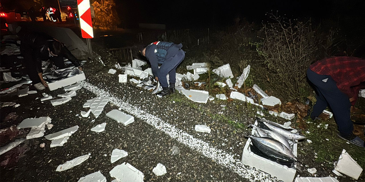 300 kasa palamut yola saçıldı