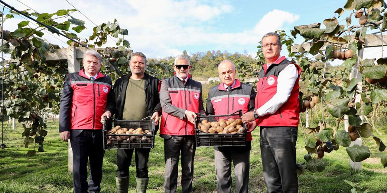 Tescilli Ordu kivisinin hasadına başlandı