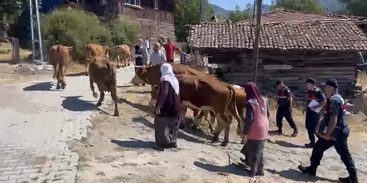 Çankırı'da Çoban, 25 Büyükbaşı Satıp Kaçtı