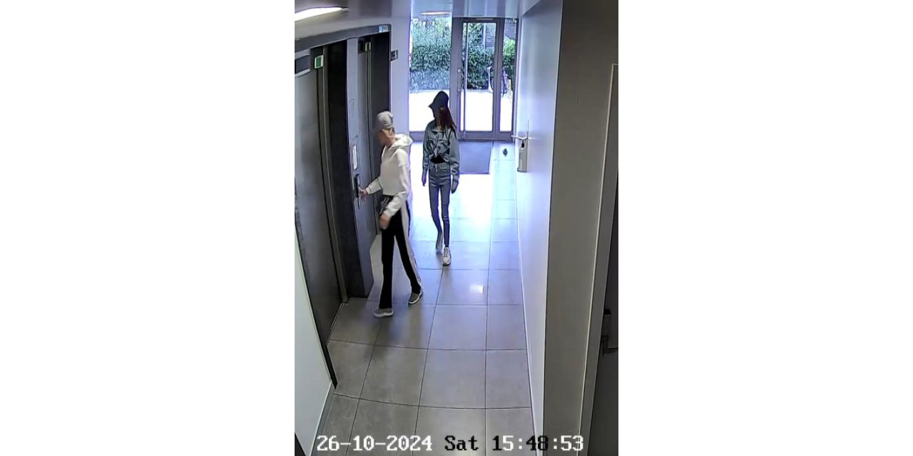 İstanbul - İstanbul'da evlerden ziynet eşyası çalan şüpheliler yakalandı