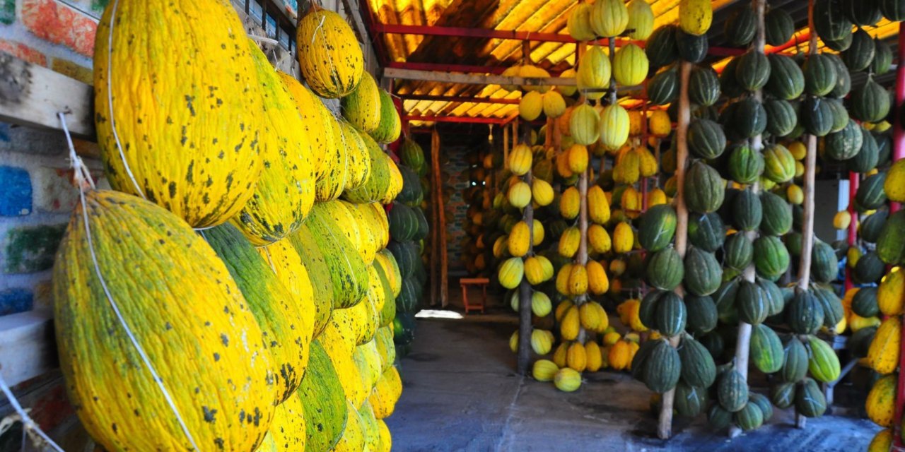 Coğrafi İşaretli Kırkağaç Kavunu Askıya Alındı