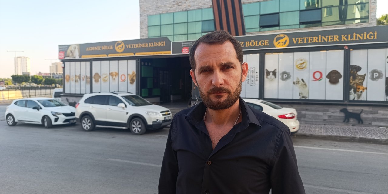 Otomobilin çarptığı 2 cins köpekten 1'i öldü; sahibi kaçan sürücüden şikayetçi oldu