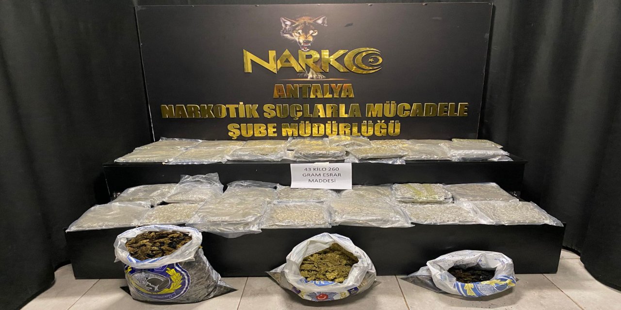 Antalya Zeytinköy’de 200 Polisle Uyuşturucu Baskını (2)